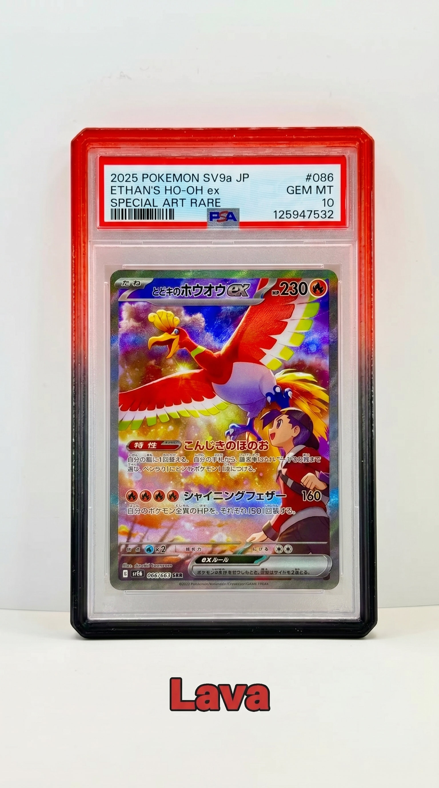SlabArmor™ V2 – PSA Guard w/ Acrylic Back