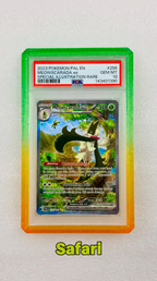 SlabArmor™ V2 – PSA Guard w/ Acrylic Back
