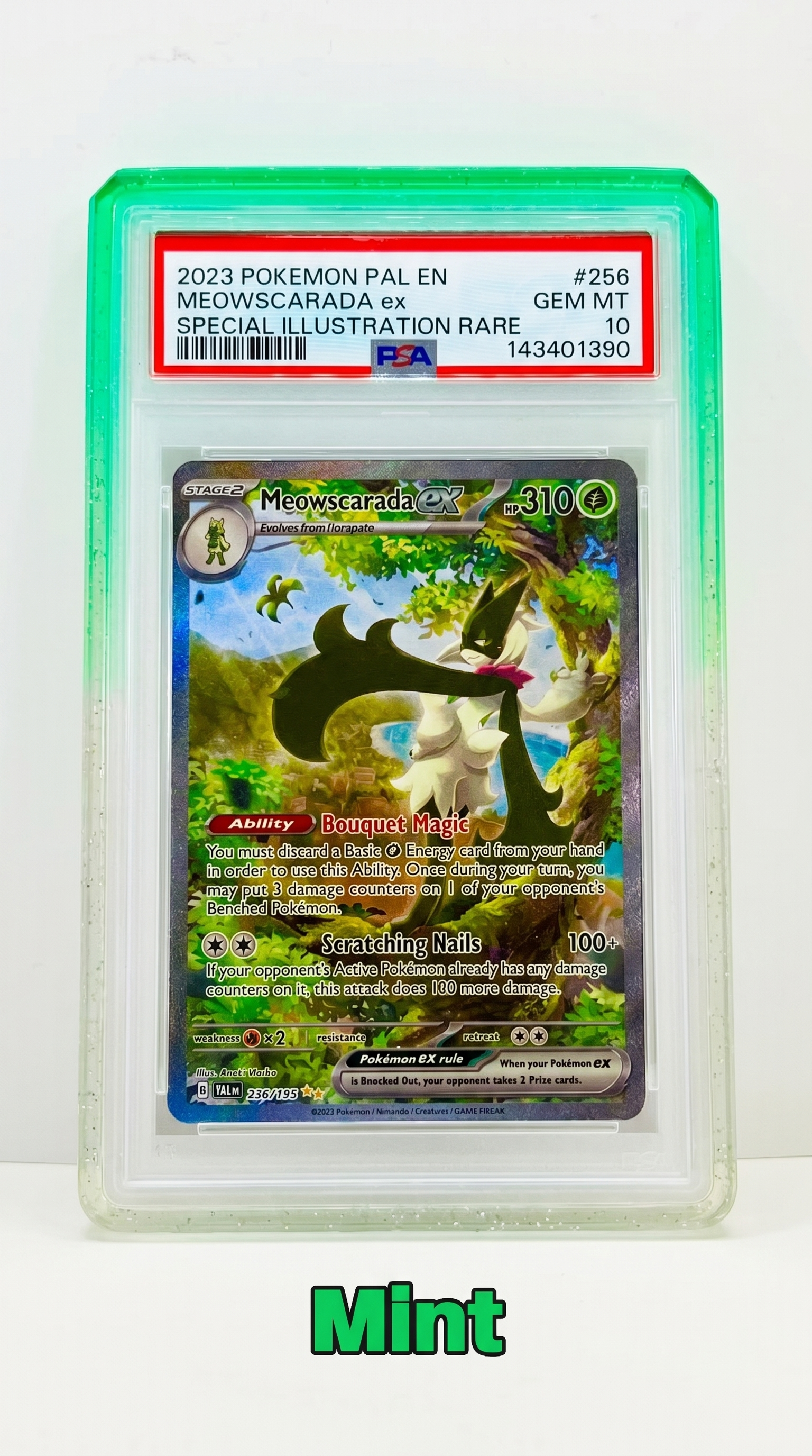 SlabArmor™ V2 – PSA Guard w/ Acrylic Back