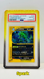 SlabArmor™ V2 – PSA Guard w/ Acrylic Back